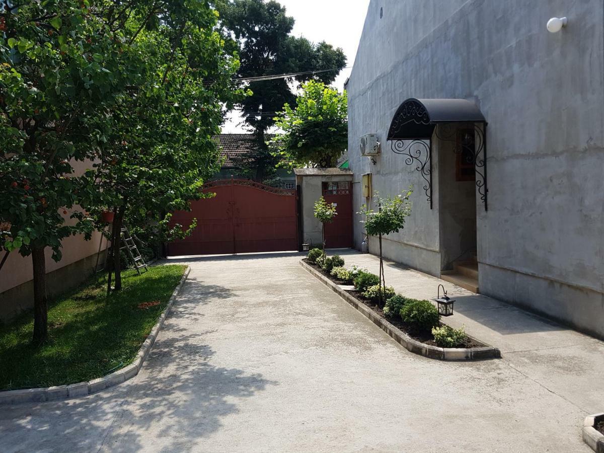 Apartman Vila Milica Kikinda Esterno foto